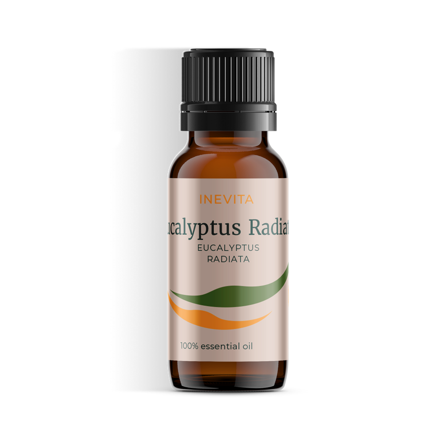 Huile essentielle d’eucalyptus radiata